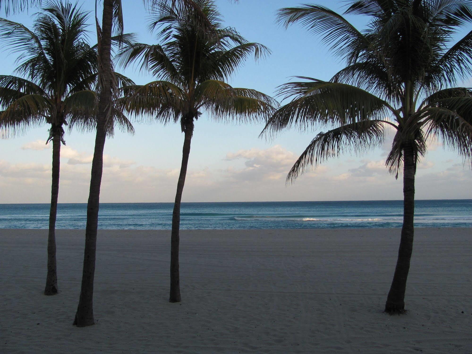 Enchanted Isle Hollywood Beach Resort מראה חיצוני תמונה